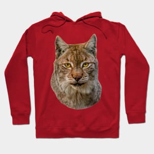 European Lynx Hoodie